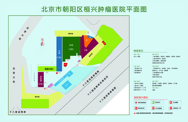 大黑鸡巴狂操大奶无毛骚逼北京市朝阳区桓兴肿瘤医院平面图